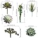 Supla Pack of 6 Assorted Artificial Succulents Plant Picks Textured Faux Succulent Pick Succulent Stems Fake Succulent Bouquet String of Pearls Succulent Faux Succulent Floral Arrangement Accent