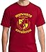 Raw T-Shirt's Hogwarts Gryffindor Quidditch Team - Potter Seeker Premium Men's T-Shirt