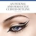 Bourjois Liner Feutre Eyeliner for Women, Noir, 0.02 Ounce