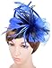 Womens Feather Mesh Fascinator Hat with Headband Royal Blue