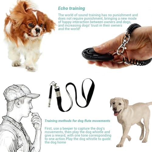 2 Stück Hundepfeife Rückruf, Lautlose Hochfrequenz Hundepfeife, Ultraschall Pfeife für Hundeerziehung & Hundetraining