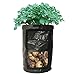 2-Pack Black Garden Grow Bags Durable Plant Growing Bags Outdoor/Indoor Vegetables Bags with Handle Access Flap Waterproof Container Bags (2-Pack/Black) (10 Gallon)