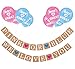 Sterling James Co. Gender Reveal Party Pack - Baby Shower Decorations - Pregnancy Announcement