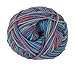 RED HEART Heart and Sole E840 Yarn, Sorbeto