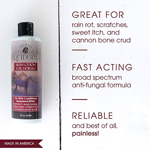 EQUIDERMA Horse Skin Lotion for Rain Rot Pricepulse