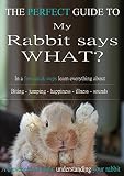 My Rabbit says what!? - The Perfect Guide: In a FEW QUICK STEPS learn everything about Biting - Jumping - Happiness - Illnesses - Sounds