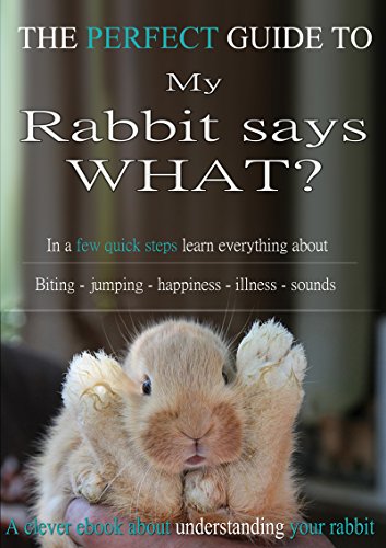 My Rabbit says what!? - The Perfect Guide: In a FEW QUICK STEPS learn everything about Biting - Jumping - Happiness - Illnesses - Sounds