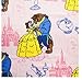 Disney Princess Belle Beauty and the Beast Super Soft Travel Blanket 40x50
