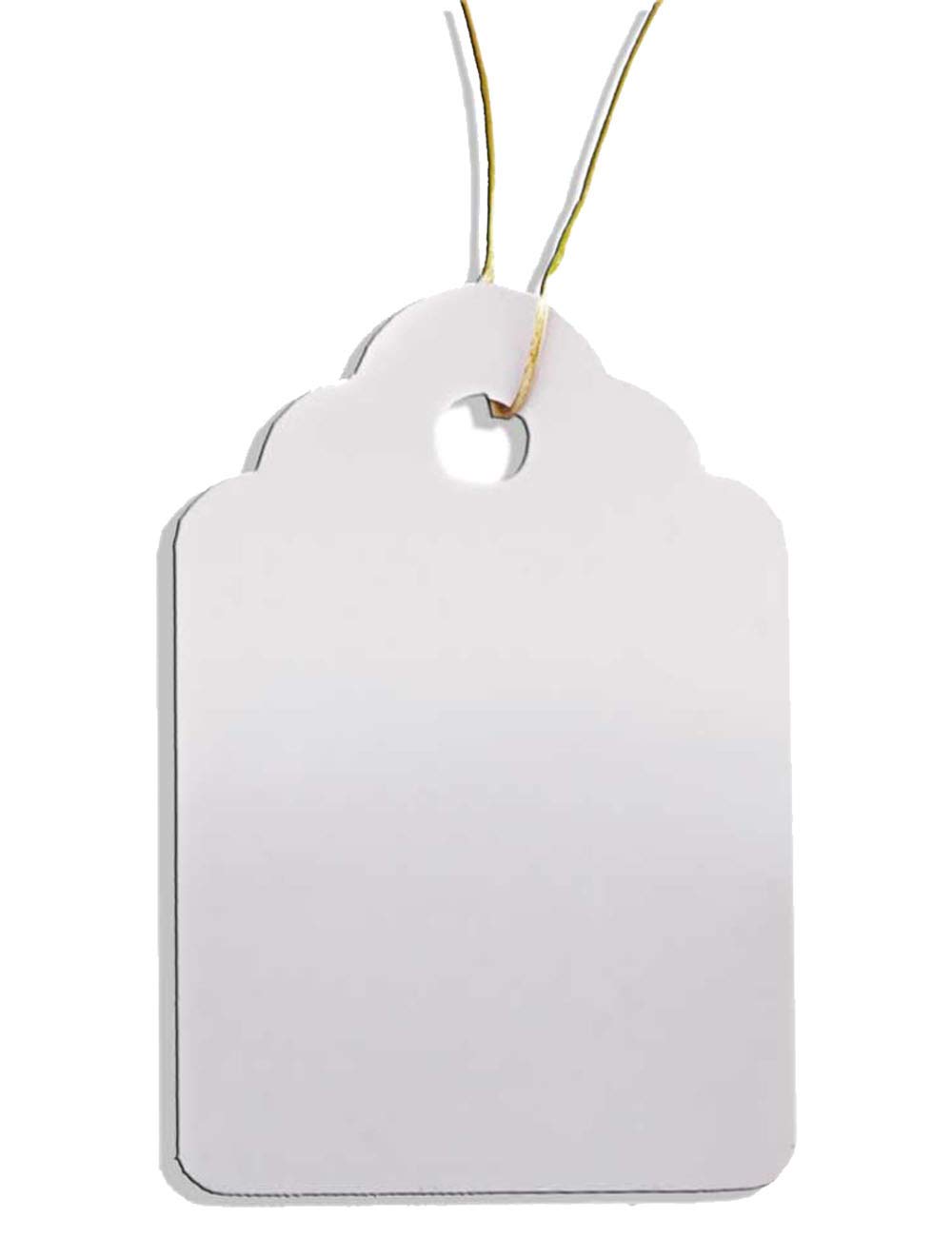 HomeTools.eu 100 Plant Pendants with String for Labelling Plants/Shrubs Weatherproof Plastic 3.5 x 2.5 cm