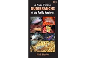 A Field Guide to Nudibranchs of the Pacific Northwest