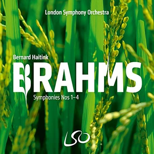 Bernard Haitink, Ludwig van Beethoven, Ludwig van Beethoven