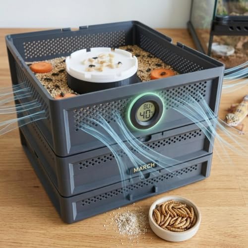 BallNiche 3-Tier Mealworm Breeding Kit