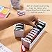 ECR4Kids Motivation Teacher Stamps - Mess-Free Self-Inking School Grading Stamp Set with Storage Tray (8-Piece Kit)