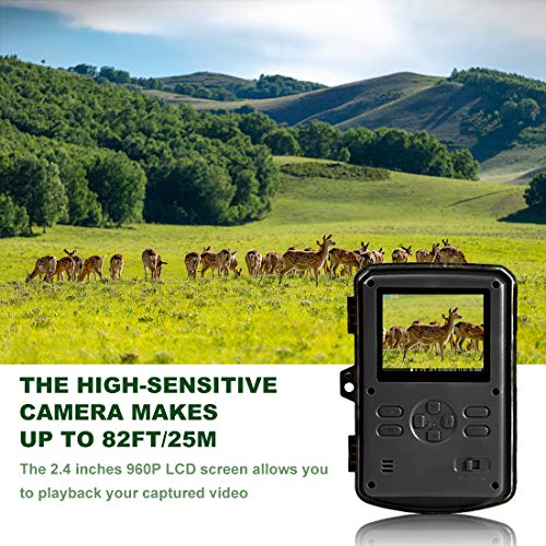 5 Cameras+Activated+Wildlife+Surveillance+Mounting