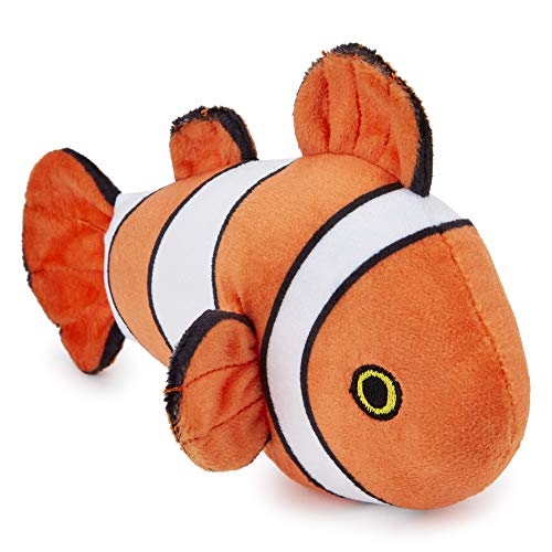 Clown Fish