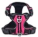 PUPTECK Best No-Pull Dog Harness with Vertical Handle,Calming Adjustable Reflective Outdoor Adventure Pet Vest
