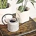 Layboo Retro Style Gorgeous Long Spout/Iron Watering Can Gardening Tool 1.7 L (Old zinc Color)