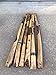 Didgeridoo Teak Wood Painted (51 inch)