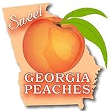 GEORGIA PEACH FRAGRANCE OIL - 2 OZ - FOR CANDLE & SOAP MAKING BY VIRGINIA CANDLE SUPPLY - FREE S&H IN USA