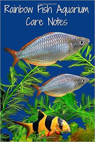 rainbow fish aquarium
