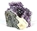 Crystal Allies: Natural Amethyst Quartz Crystal Cluster from Uruguay - 1lb to 2lbs