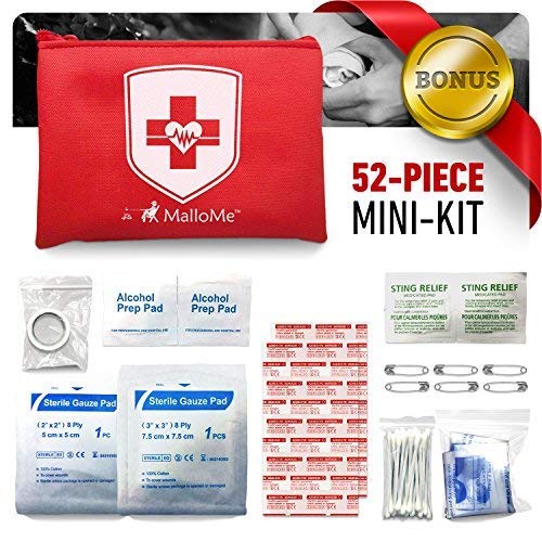 2-in-1 Large First Aid Survival Kit (353-Piece) Camping Gear Accessories for Emergency: Mini Small 52 Bonus Pieces for College Dorm Room Essentials, Car, Home, Baby, Travel, Office & Medical Supplies