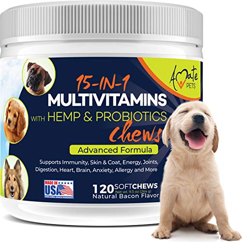 chewable dog vitamins