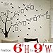 DaGou, Huge 7' Ft(h) X 7' Ft(w) Wall Decals, Memory Tree and Birds, Wall Stickers, Murals
