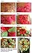 Premium Decor Decorative FLower Floral Mesh Ribbons for Gift, Wreaths or Holiday Wrapping, 21 Inch by 10 Yard Length, Set of 4