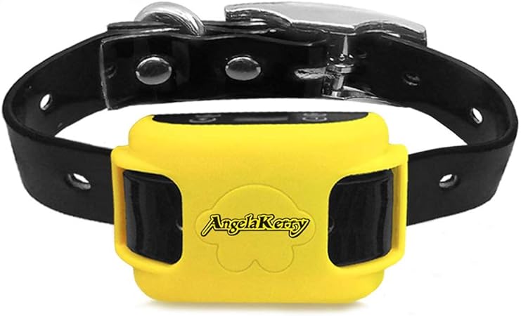 gps electric fence for dogs