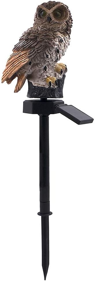 Best Solar Garden Lights Frog