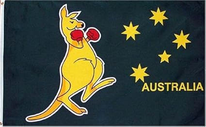 Boxing Kangaroo Flag Meaning - ImageFootball