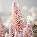 Factory Direct Craft Package of 14 Assorted Vintage Pink Frosted Miniature Bottle Brush Sisal Trees