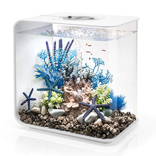 biOrb Flow 30 Aquarium with MCR Lighting – 8 Gallon, White
