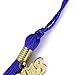 LUOEM Graduation Tassels with Gold 2019 Year Charm Academic Graduation Gown Tassels for Graduate Ceremony,Pack of 6 (Dark Blue)