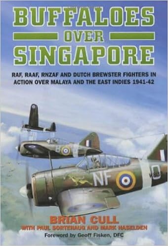 Buffaloes Over Singapore