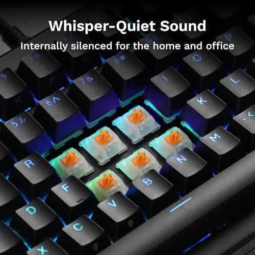 Glorious Gaming Switches Silent Panda (36 Pcs) Pre-Oiled Touch Switches for Gaming and Typing, for MX Mechanical Keyboards with Hot Swap, with 3 Pin Plate