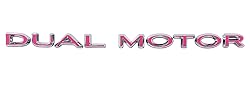 Custom Cut Graphics Dual Motor Badge Wrap for Tesla