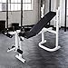 Bonnlo Adjustable Weight Bench, Multi-Function Workout Bench with Leg Extension and Leg Curl, Folding Incline Decline Heavy Duty Exercise Bench for Office, Home and Gym
