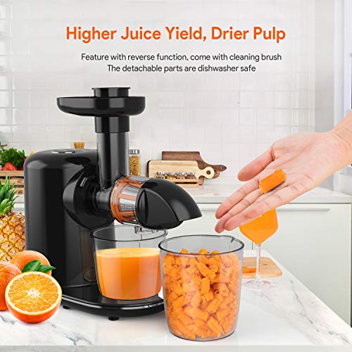 Slow Masticating Juicer Bagotte Juicer Machines with Higher Juice