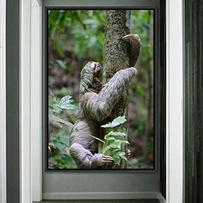 signwin Framed Canvas Wall Art Sloth Animals Expressive...