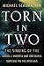 Torn in Two: The Sinking of the Daniel J. Morrell and One Man's Survival on the Open Sea (Posthumanities)
