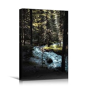 signwin Canvas Wall Art Green Forest Dramatic Forest...