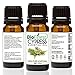BioFinest Cypress Oil - 100% Pure Cypress Essential Oil - Premium Organic - Therapeutic Grade - Best For Aromatherapy - Mood uplifter -Energizing and Refreshing FREE EBook (10ml)