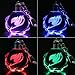 Alicenter(TM) New Fairy Tail Anime Crystal LED Light Charm Key Chain Key Ring Cosplay 1PC