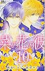菜の花の彼 第10巻
