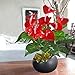 GTidea 2pcs Artificial Plants Silk Anthurium Flowers Bushes Fake Shrubs Home Garden Office Table Windowsill Indoor Outside Greenery Decor Red