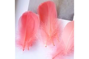 FEATUMAN 100Pcs Watermelon Red Natural Goose Feathers, 3-5Inch Centerpieces Feahers Colorful Craft Feathers for Wedding Party Centerpieces Flower Arrangement and Home Decoration