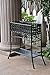 International Caravan Iron Outdoor/Indoor Plant Stand primary