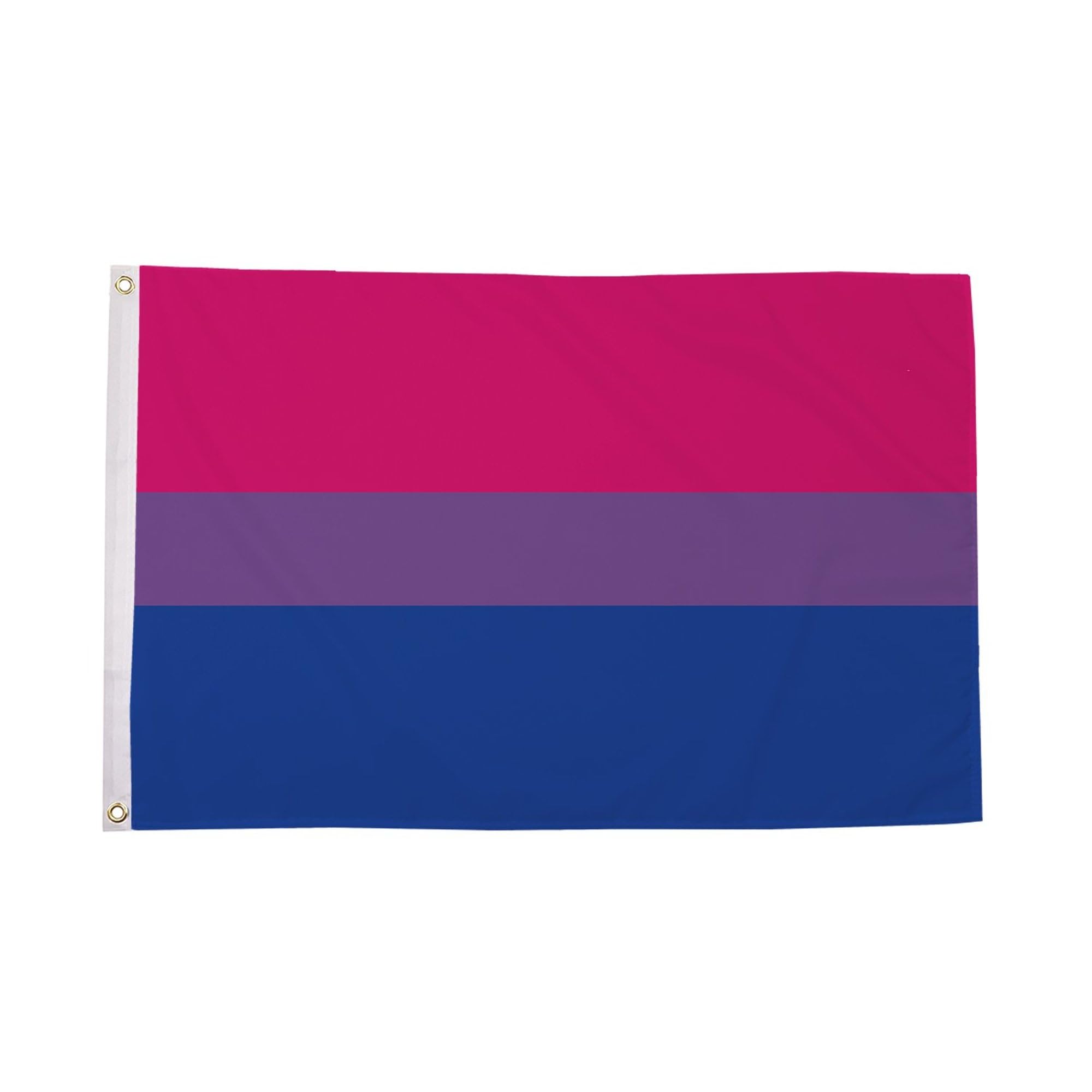 Flagtex Bi-Pride Small Flag